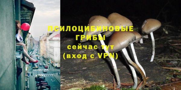 spice Заволжье