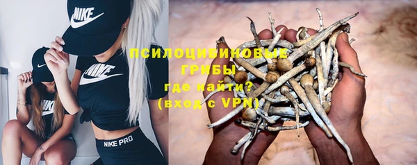 apvp Заводоуковск